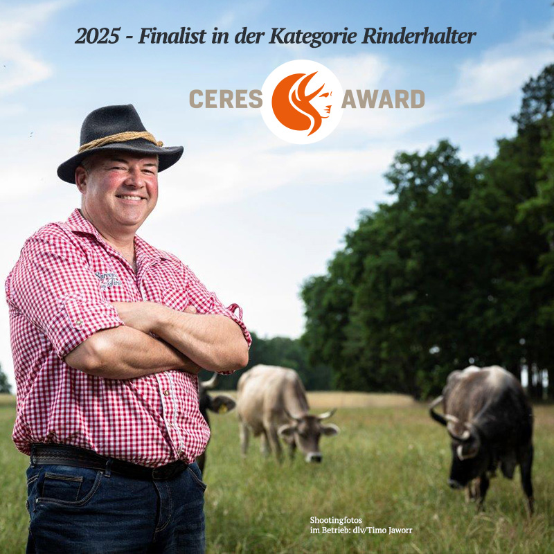 CERES AWARD 2025: Finalist in der Kategorie Rinderhalter Rinderhalter mit verschränkten Armen auf einer Weide, im Hintergrund grasen Rinder (Grauvieh) – CERES AWARD 2025 Finalist